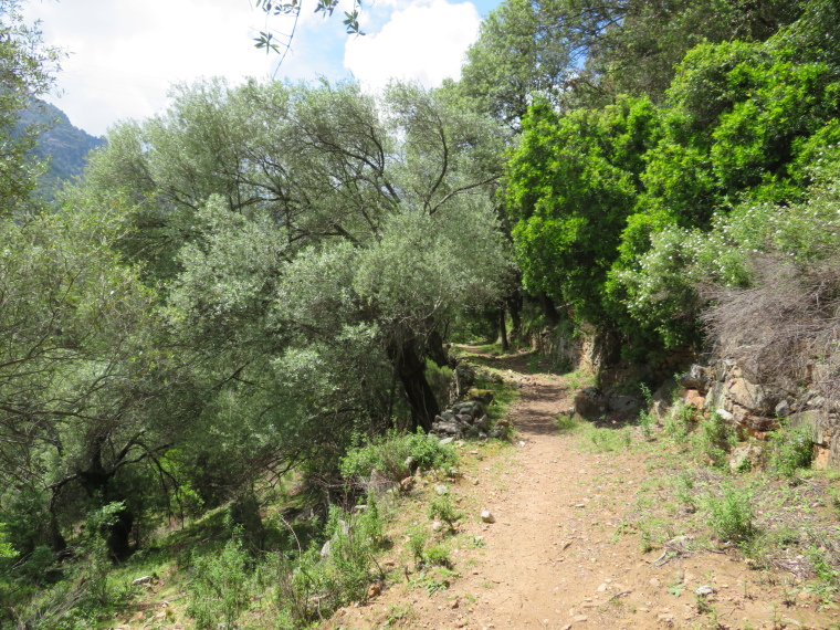 France Corsica: Northern Highlands, Spelunca Gorge,  Path up to Ota, Walkopedia