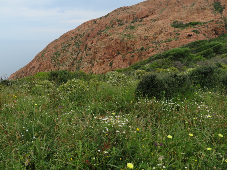 France Corsica: North-west, Capu Rossu , , Walkopedia