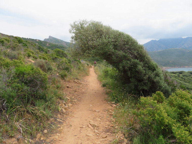 France Corsica: North-west, Capu Rossu , , Walkopedia