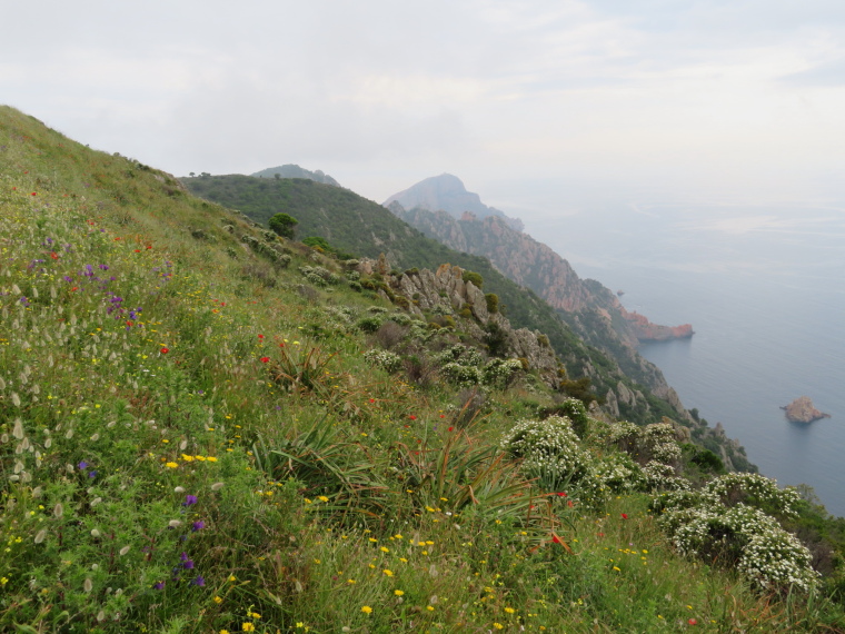 France Corsica: North-west, Capu Rossu , , Walkopedia