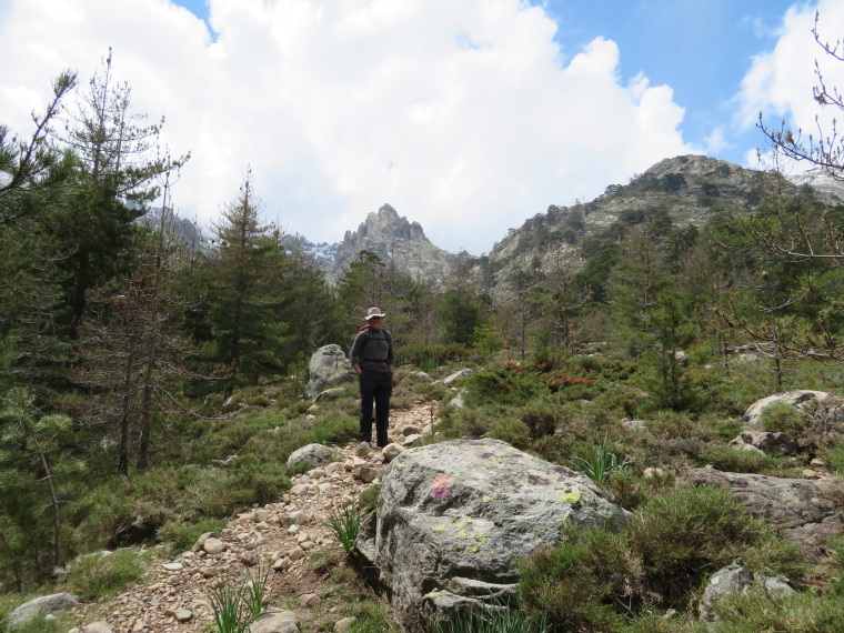 France Corsica: Northern Highlands, Golo Valley, Turning into bottom of Golo valley, Walkopedia