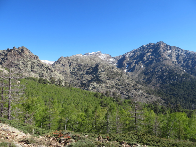 France Corsica: Northern Highlands, Golo Valley,  Across Golo valley to high mountains from near Col de Vergio, Walkopedia