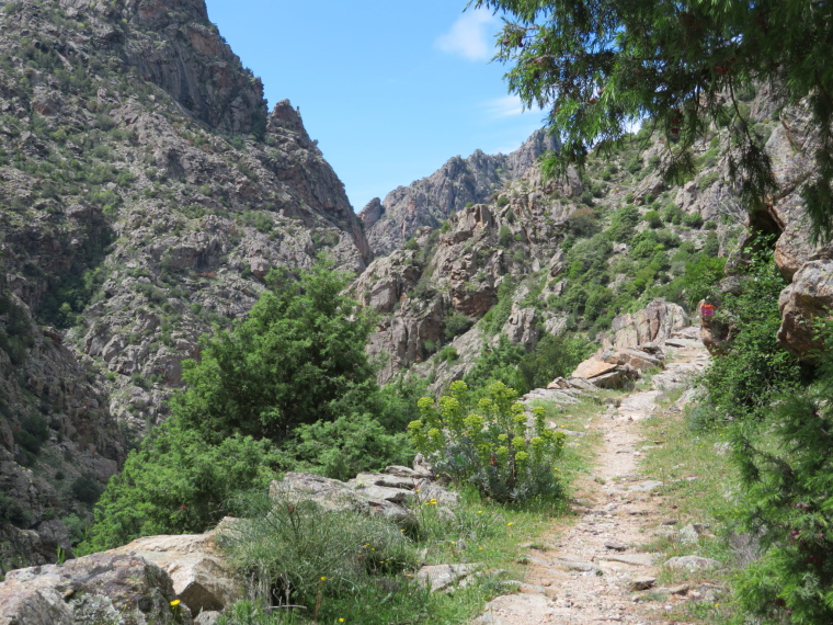 France Corsica: Northern Highlands, Scala di Santa Regina , , Walkopedia