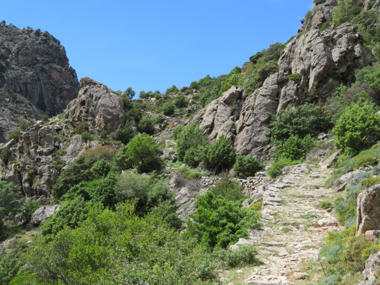 France Corsica: Northern Highlands, Scala di Santa Regina , , Walkopedia