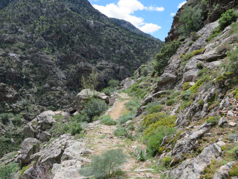 France Corsica: Northern Highlands, Scala di Santa Regina , , Walkopedia