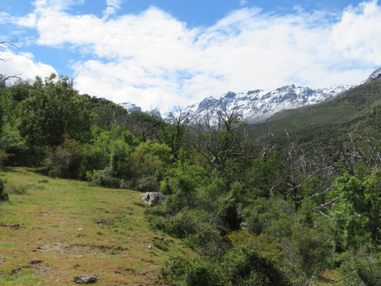 France Corsica: Northern Highlands, Scala di Santa Regina , , Walkopedia