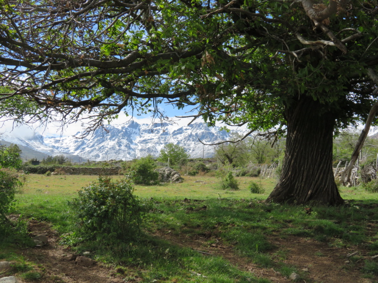 France Corsica: Northern Highlands, Scala di Santa Regina , , Walkopedia