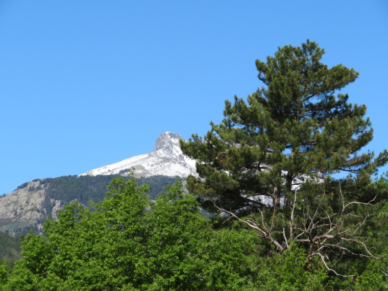 France Corsica: Northern Highlands, Calacuccia to Col de Vergio , , Walkopedia