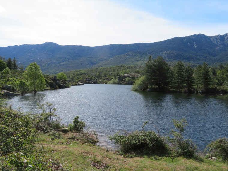 France Corsica: Northern Highlands, Calacuccia to Col de Vergio , , Walkopedia