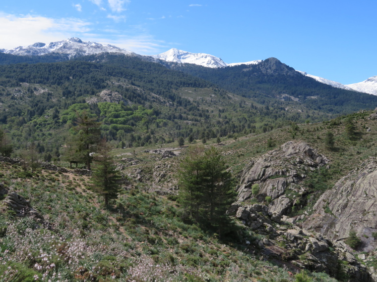 France Corsica: Northern Highlands, Calacuccia to Col de Vergio , , Walkopedia