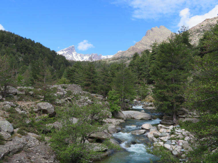 France Corsica: Northern Highlands, Calacuccia to Col de Vergio , , Walkopedia