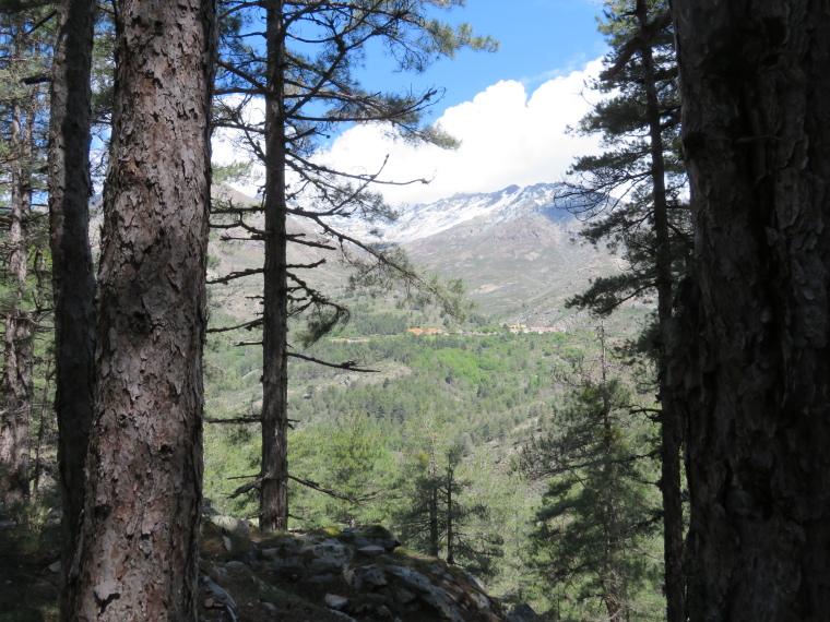 France Corsica: Northern Highlands, Calacuccia to Col de Vergio , , Walkopedia