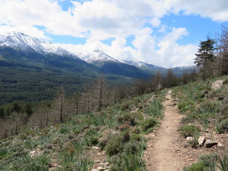 France Corsica: Northern Highlands, Calacuccia to Col de Vergio , , Walkopedia