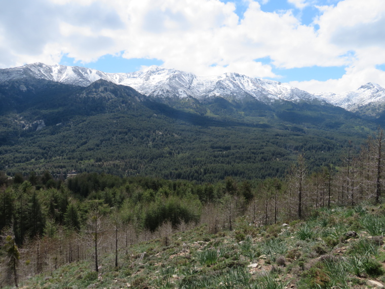 France Corsica: Northern Highlands, Calacuccia to Col de Vergio , , Walkopedia