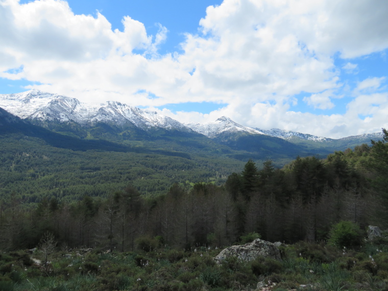 France Corsica: Northern Highlands, Calacuccia to Col de Vergio , , Walkopedia