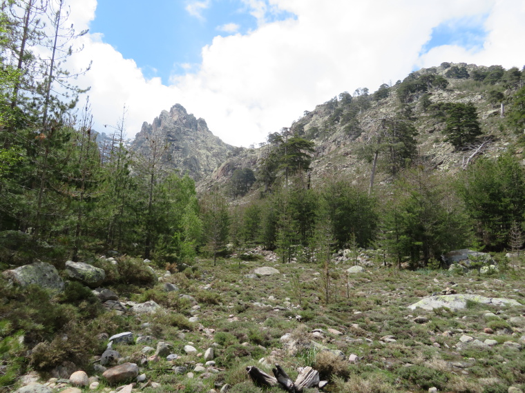 France Corsica: Northern Highlands, Calacuccia to Col de Vergio , , Walkopedia