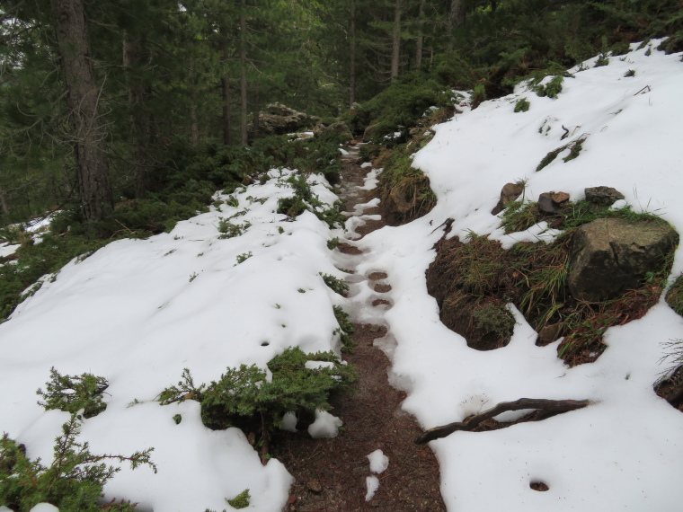 France Corsica: Northern Highlands, Calacuccia to Col de Vergio , , Walkopedia