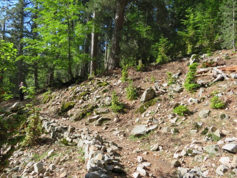 France Corsica: Northern Highlands, Around Col de Vergio , , Walkopedia