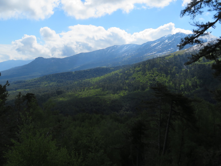 France Corsica: Northern Highlands, Around Col de Vergio , Niellu flanks, Walkopedia