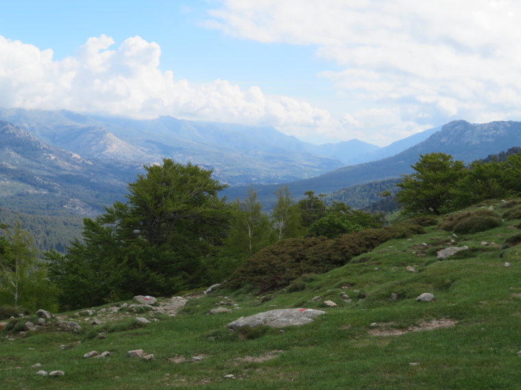 France Corsica: Northern Highlands, Around Col de Vergio , from Bocca Manuella, on GR20, Walkopedia