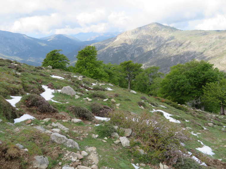 France Corsica: Northern Highlands, Around Col de Vergio , Lac de Nino walk, on GR20, Walkopedia