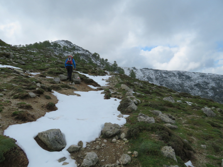 France Corsica: Northern Highlands, Around Col de Vergio , , Walkopedia