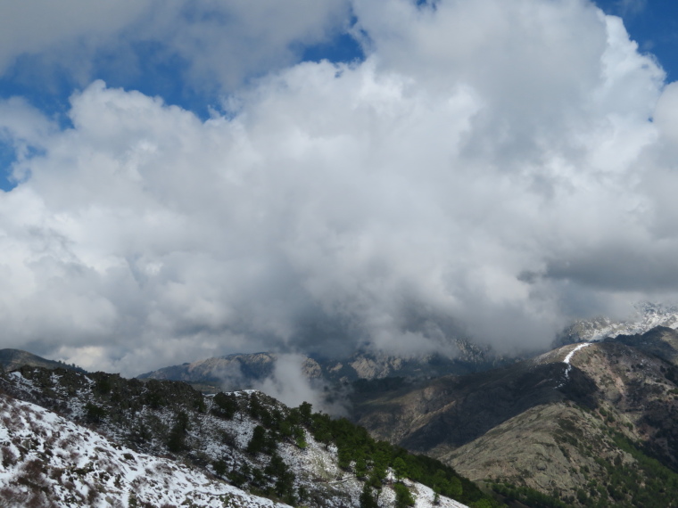 France Corsica: Northern Highlands, Around Col de Vergio , , Walkopedia