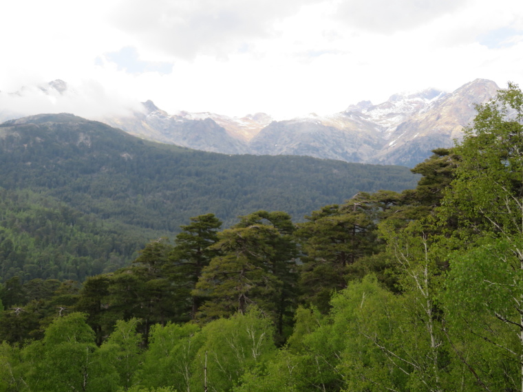 France Corsica: Northern Highlands, Around Col de Vergio , , Walkopedia