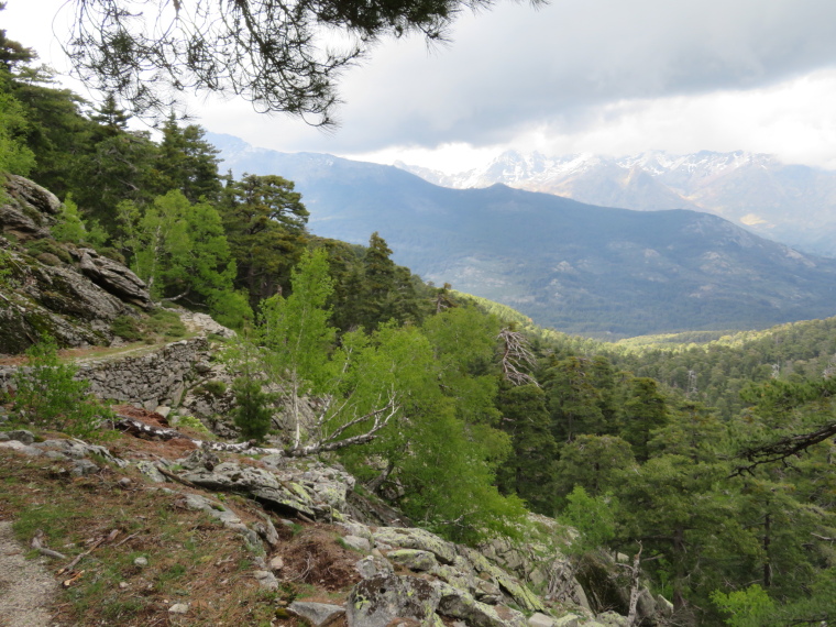 France Corsica: Northern Highlands, Around Col de Vergio , Ronde de Valdu Niellu, Walkopedia