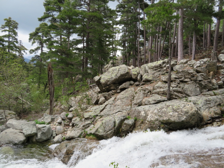 France Corsica: Northern Highlands, Around Col de Vergio , Colga gorge, Walkopedia