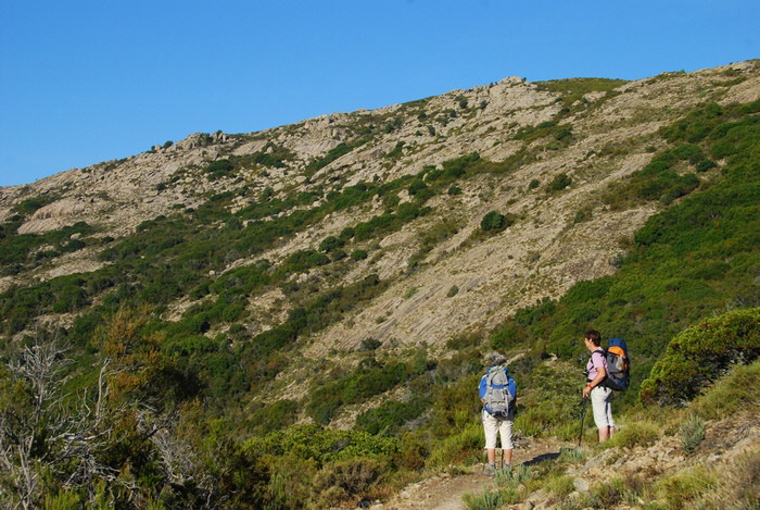 France Corsica: North-west, E  Case to Marignana , , Walkopedia