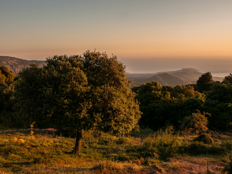 France Corsica: North-west, E  Case to Marignana , , Walkopedia