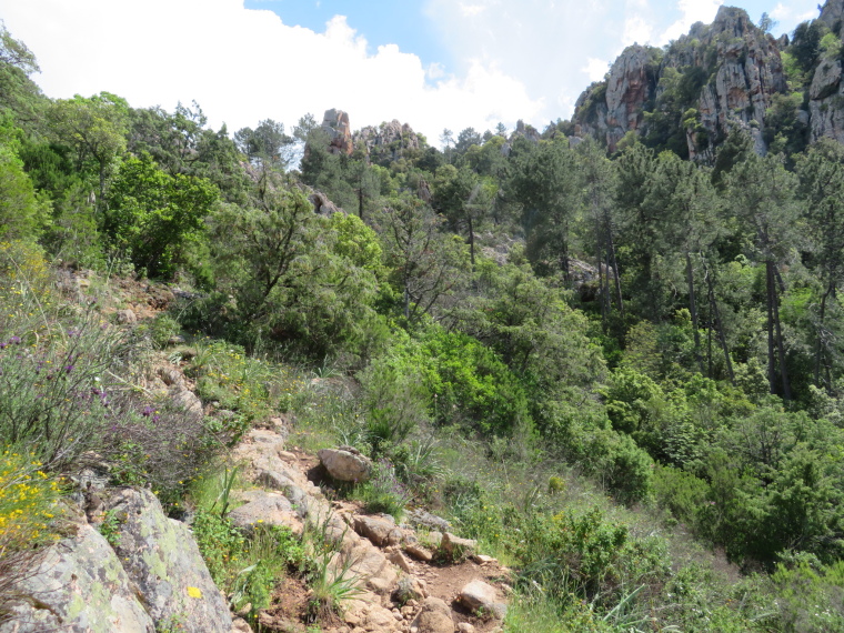 France Corsica: North-west, The Calanche  , Path above Roches Bleues restaurant, Walkopedia