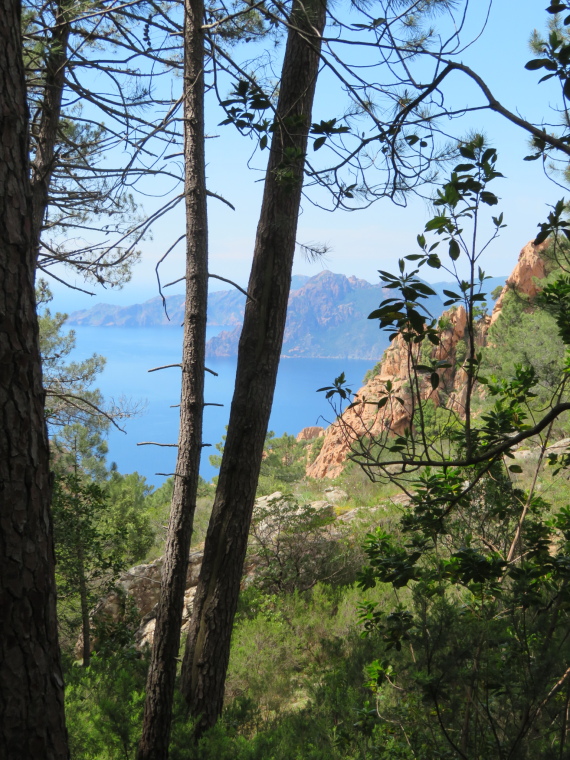 France Corsica: North-west, The Calanche  , , Walkopedia