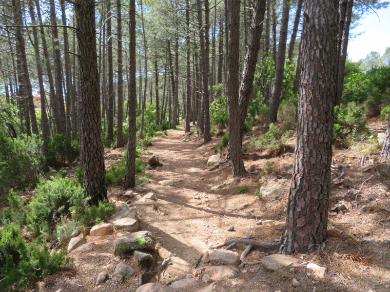 France Corsica: North-west, The Calanche  , High Calanche plateau, Walkopedia