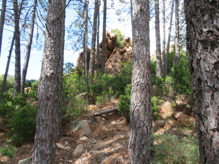 France Corsica: North-west, The Calanche  , High Calanche plateau, Walkopedia