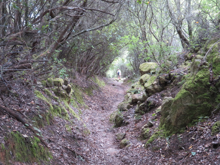 France Corsica: North-west, The Calanche  , , Walkopedia