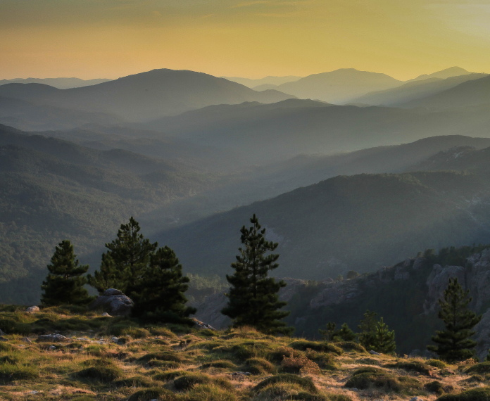 France Corsica: Southern Mountains, Around Col de Bavella, From the Col de Bavella, Walkopedia