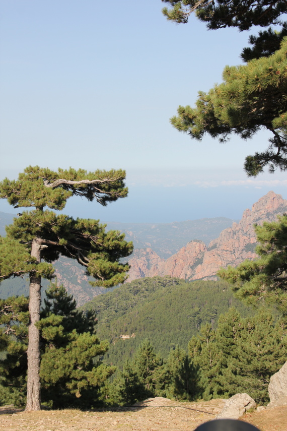 France Corsica: Southern Mountains, Around Col de Bavella, Col de Bavella , Walkopedia