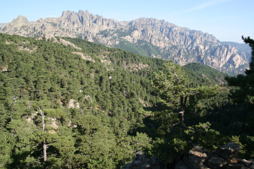 France Corsica: Southern Mountains, Around Col de Bavella, col de bavella A.v.Z, Walkopedia