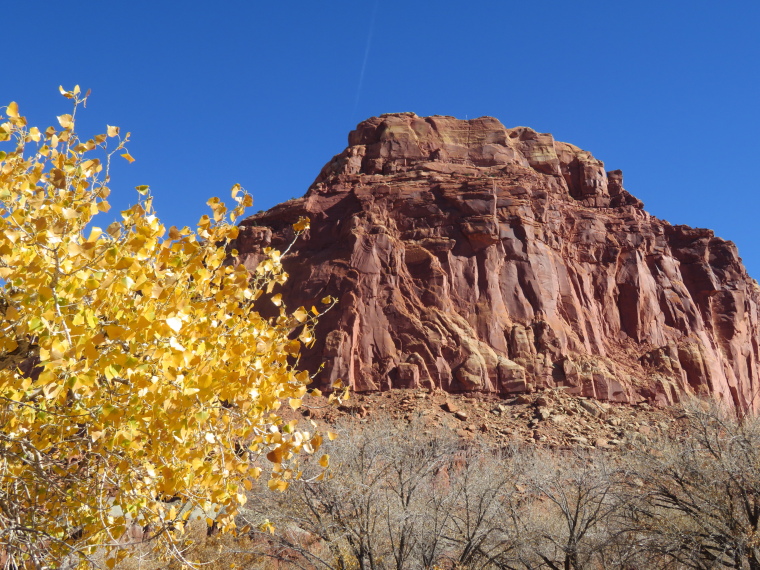 USA SW: Capitol Reef, Capitol Reef , flank near Fruita, Walkopedia