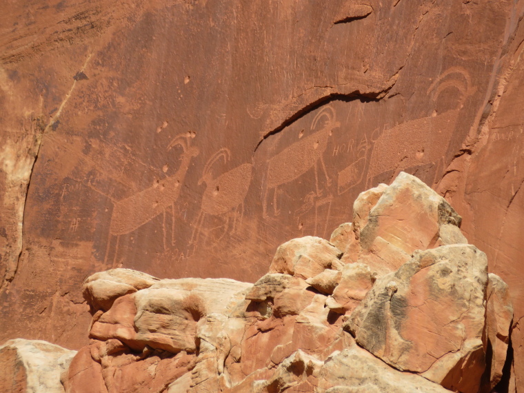 USA SW: Capitol Reef, Capitol Reef , petroglyph near Fruita, Walkopedia