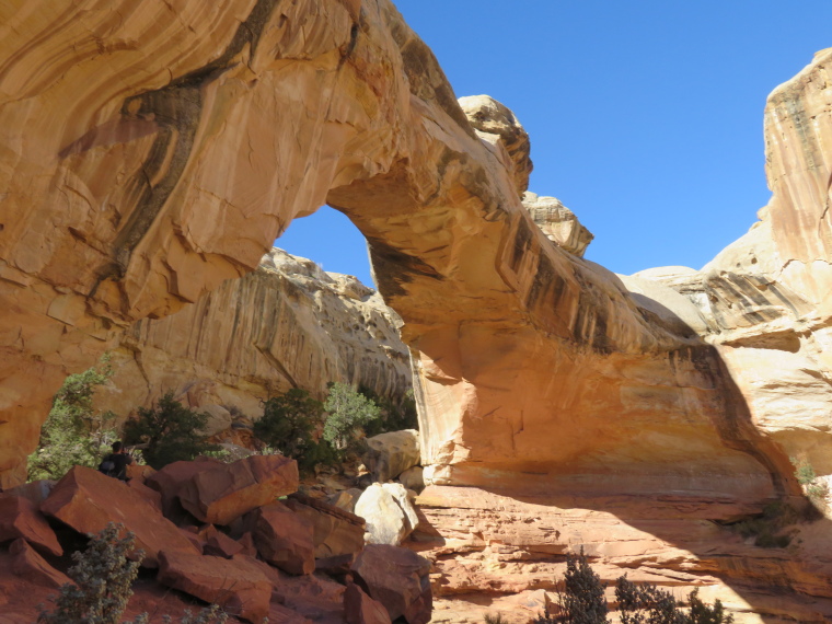 USA SW: Capitol Reef, Capitol Reef , Hickman Bridge, Walkopedia