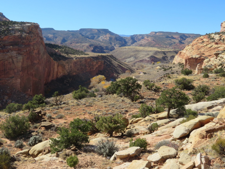 USA SW: Capitol Reef, Capitol Reef , View towards Fruita from ridge above Hickman bridge, Walkopedia