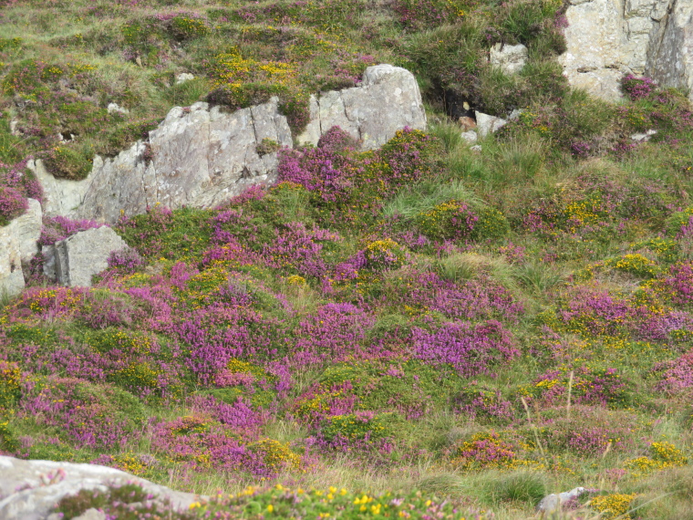 Ireland Kerry/Cork Beara Peninsula, Beara Peninsula, , Walkopedia