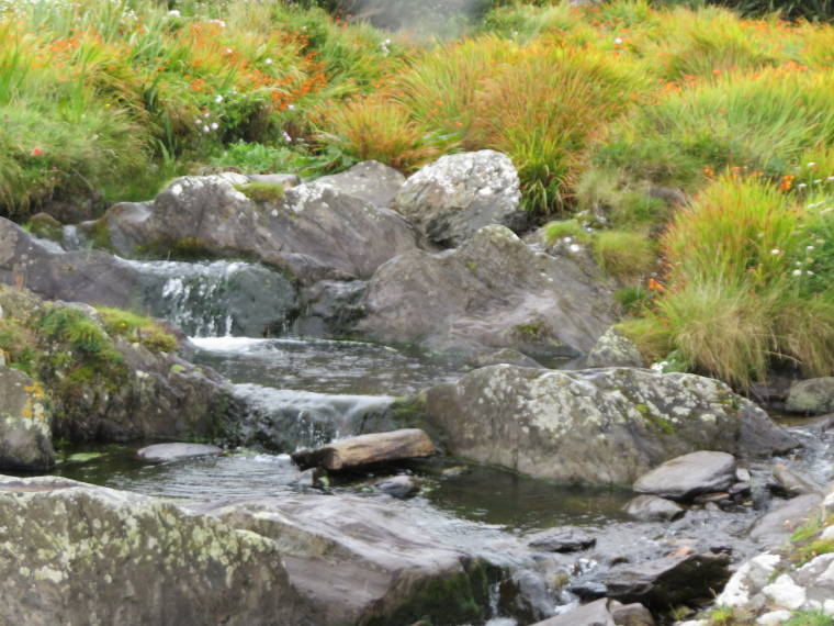 Ireland Kerry/Cork Beara Peninsula, Beara Peninsula, , Walkopedia