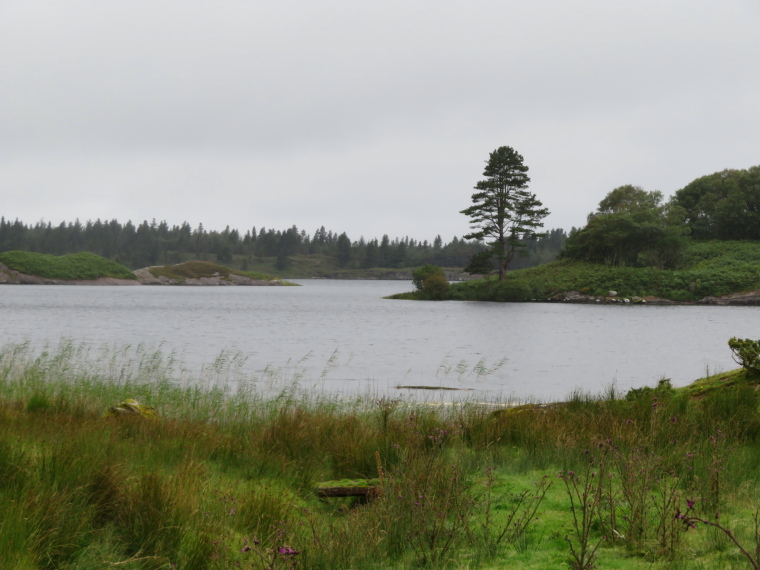 Ireland Kerry/Cork Beara Peninsula, Beara Peninsula, , Walkopedia