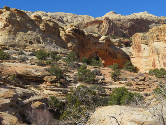 USA SW: Capitol Reef, Hickman Rock Bridge, Hickman Bridge from a distance, Walkopedia