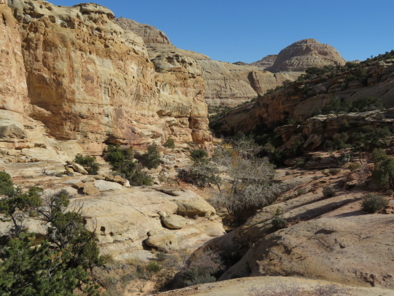 USA SW: Capitol Reef, Hickman Rock Bridge, Low wash on way to HB, Walkopedia