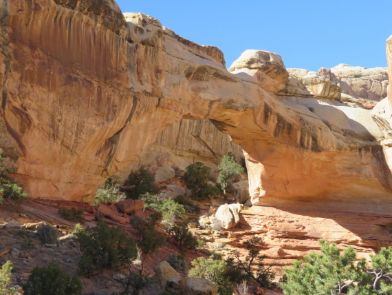 USA SW: Capitol Reef, Hickman Rock Bridge, , Walkopedia